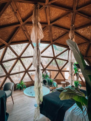 Bubble Suites